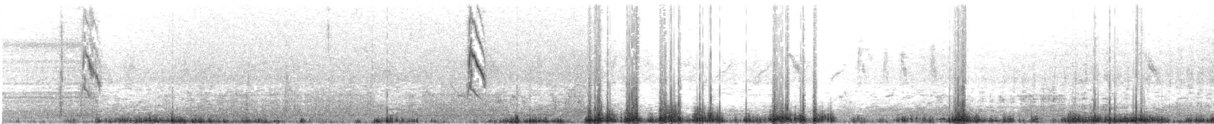 Blyth's Pipit - ML633017286