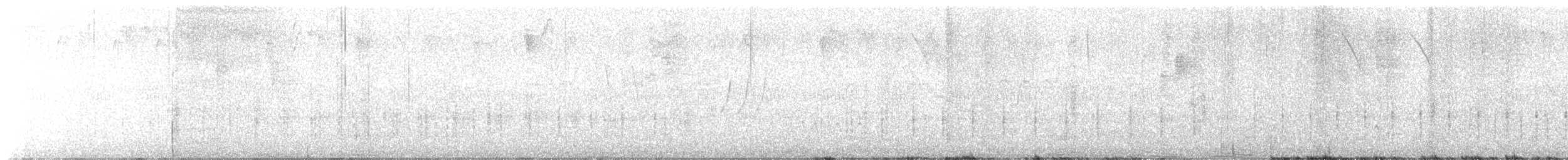 Southern House Wren (Central American) - ML633020390