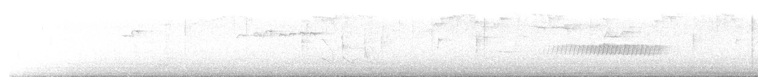 Pine Warbler - ML633020766