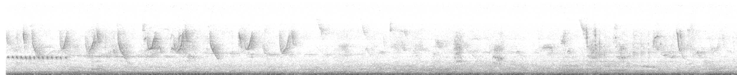 Chipiu noiroux - ML633022037