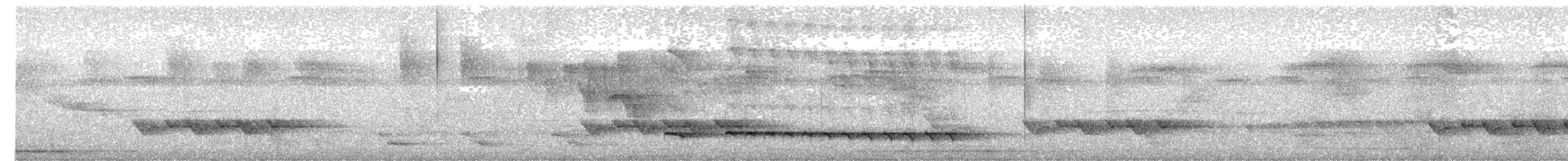 Mayan Antthrush - ML633023401