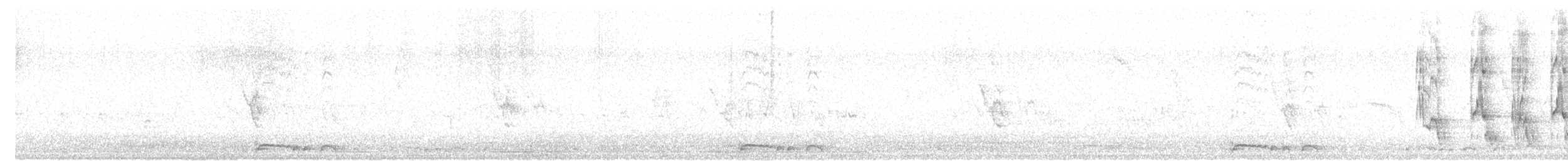 Black Francolin (Eastern) - ML633023433