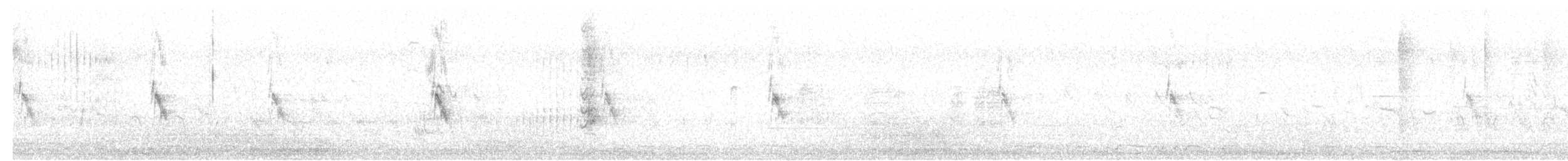 Black Francolin (Eastern) - ML633023461