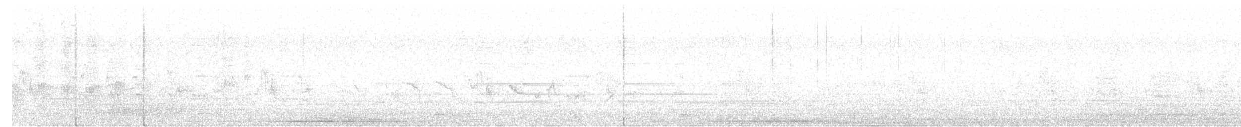 Black Francolin (Eastern) - ML633023719