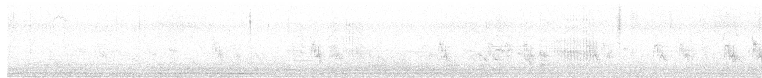 Black Francolin (Eastern) - ML633023771