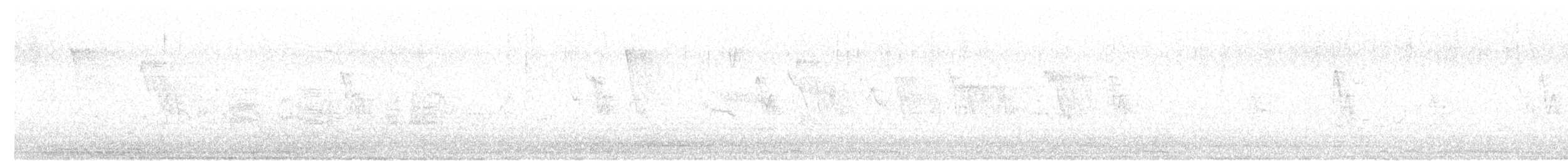 Black Francolin (Eastern) - ML633023816