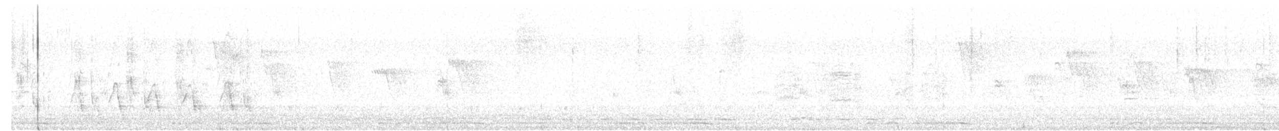 Black Francolin (Eastern) - ML633023906