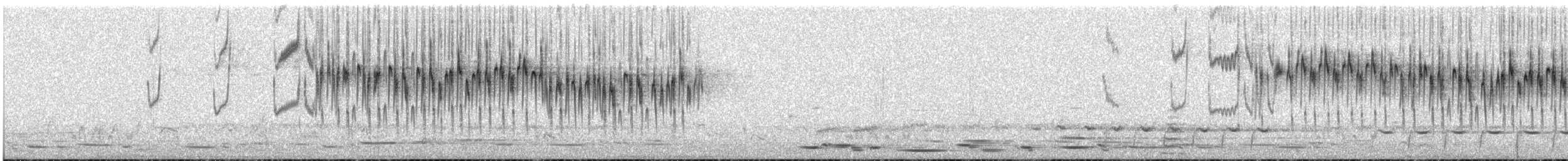 ムナグロオーストラリアムシクイ - ML633029629