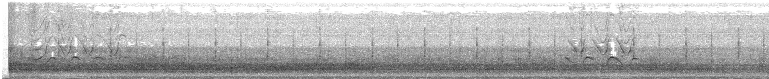 Great-tailed Grackle - ML633034751