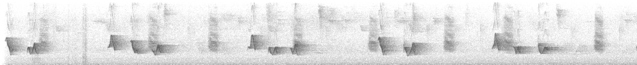 Black-whiskered Vireo - ML633041024