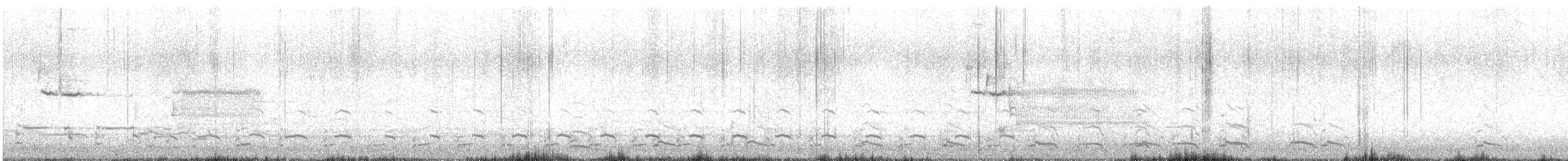 racek americký - ML633041623