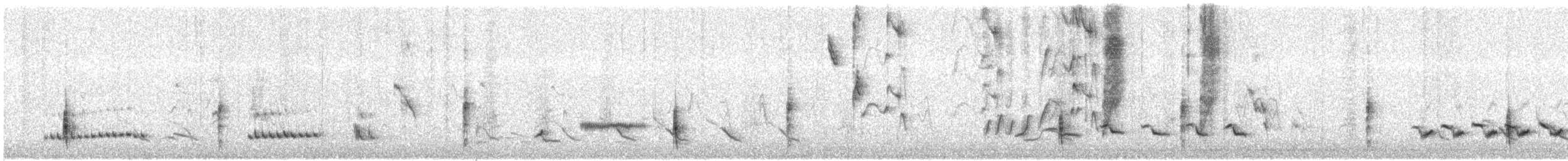 Moqueur polyglotte - ML633042025