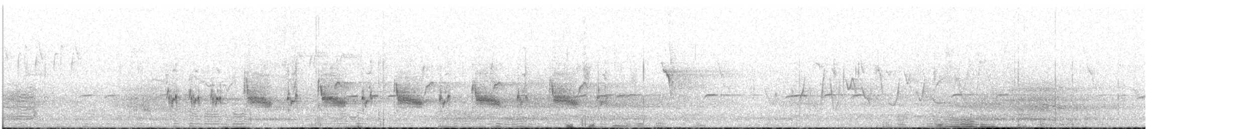 ノドグロハチマキミツスイ（gularis） - ML633054487