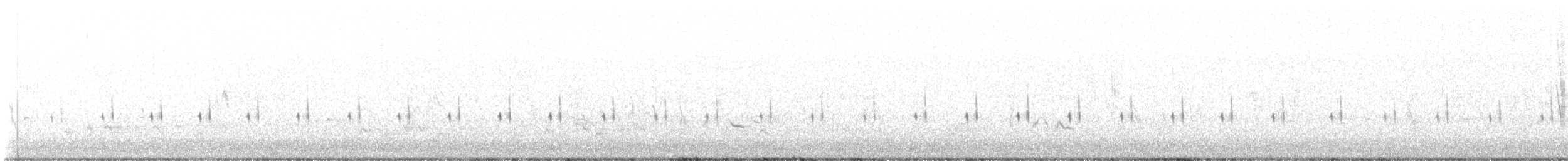 Piping Cisticola - ML633059578