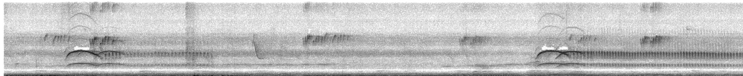 Cliff Flycatcher - ML633059811
