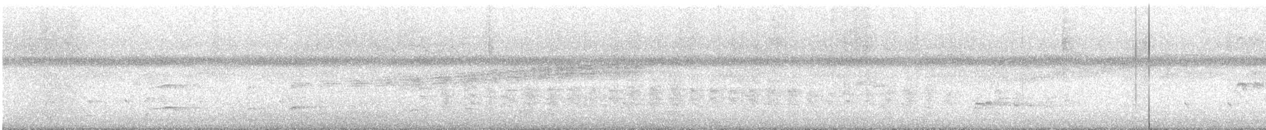 Clapper Rail - ML633066821