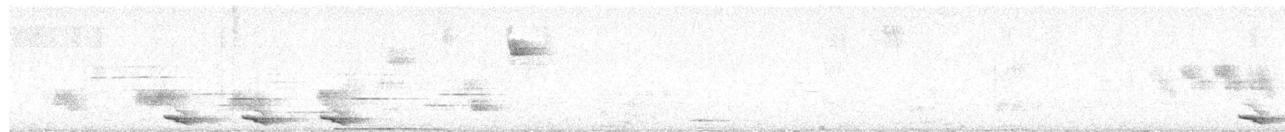 Mountain Trogon - ML633066850