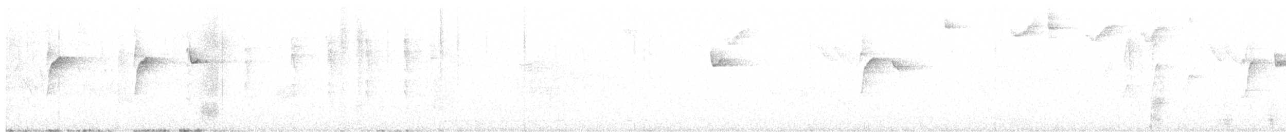 キメジロハエトリ - ML633067018