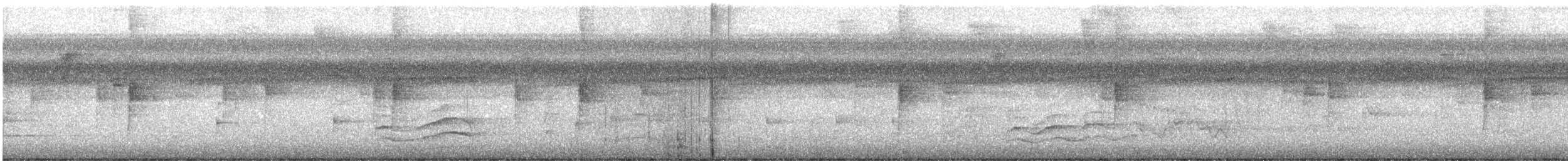 Northern Waterthrush - ML633070076