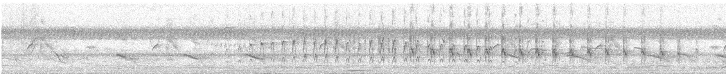 Plain Thornbird - ML633070826