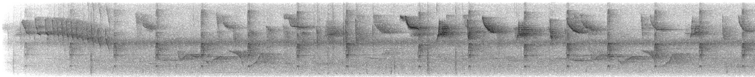 Couch's Kingbird - ML633072748