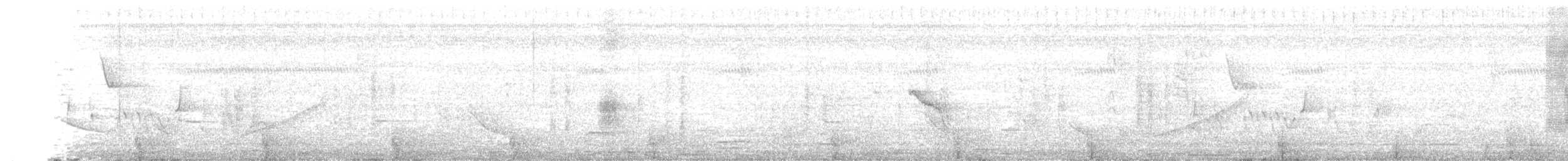 Masked Tityra - ML633073096