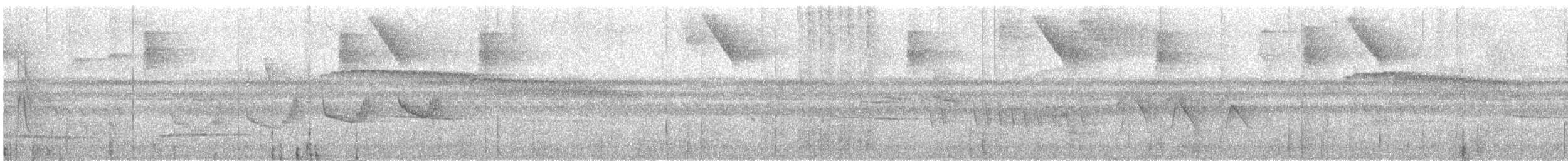 Long-winged Antwren - ML633077759