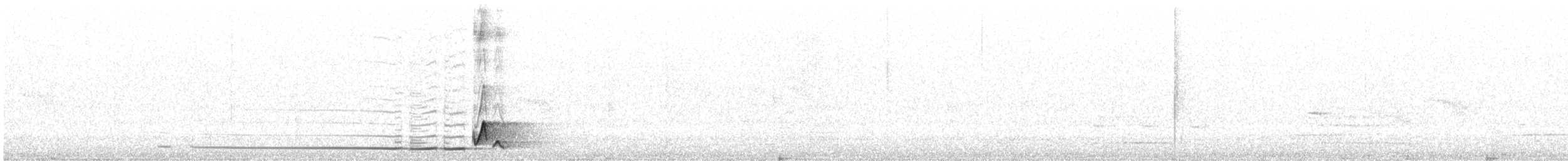 Широкохвістка китайська - ML633078143