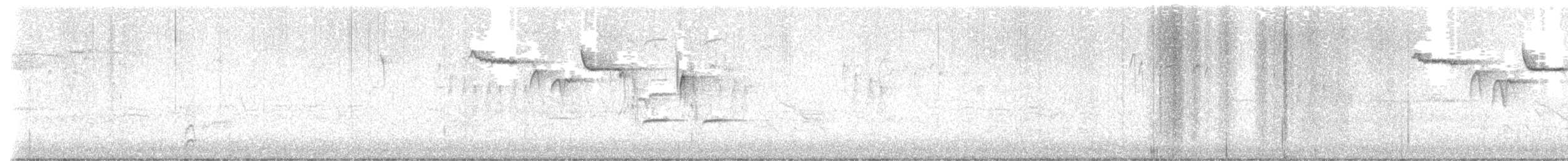 Brown Creeper - ML633078250
