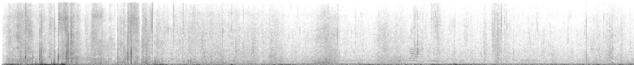 Pelagic Cormorant - ML633081707