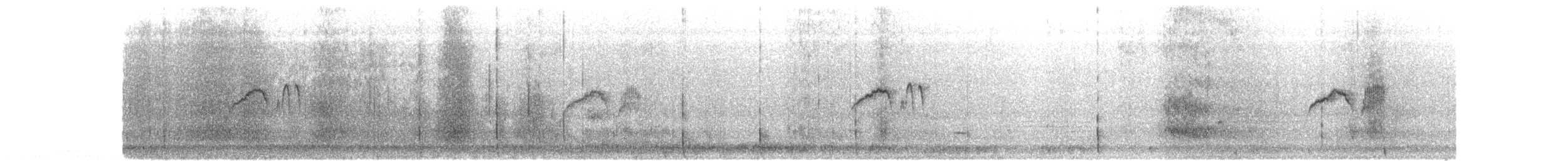 Eastern Phoebe - ML633088823