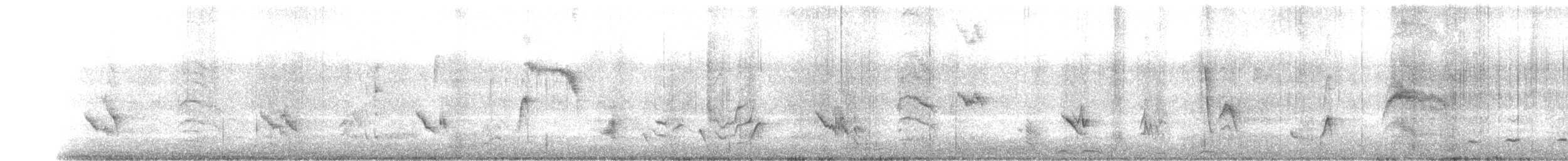 Long-billed Thrasher - ML633089799