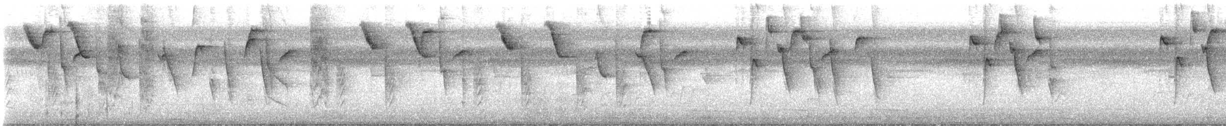 Bicolored Conebill - ML633090276