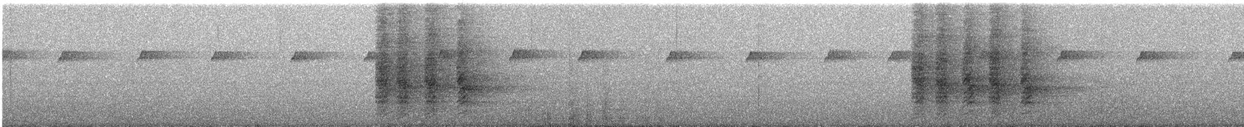 Spangled Drongo - ML633091375