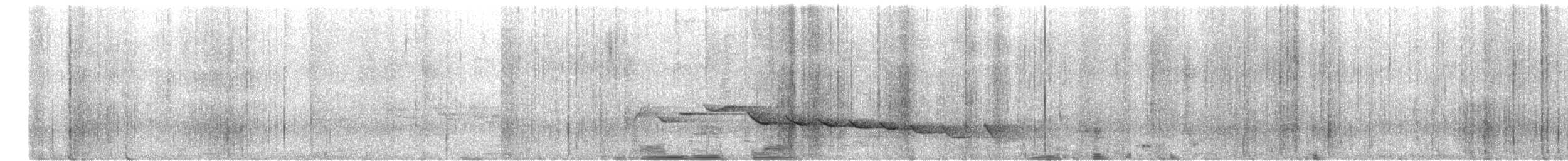 ハシナガミソサザイ - ML633094120