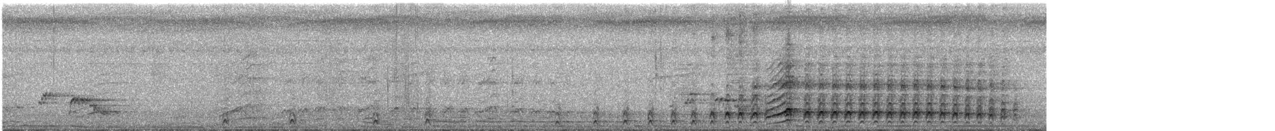 malabarhornfugl - ML633101447