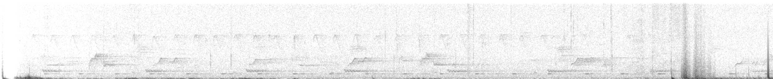 Malabar Barbeti - ML633103838