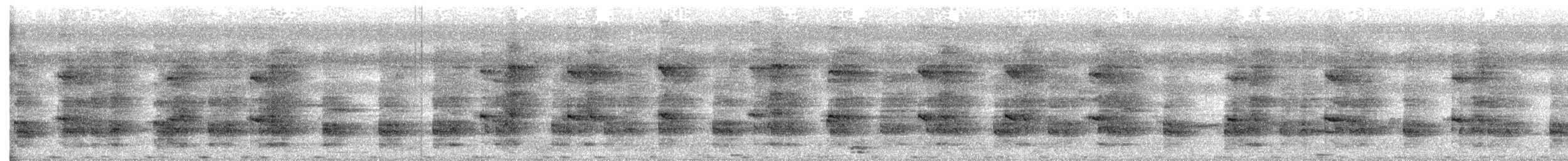 Râle à collier - ML633105355