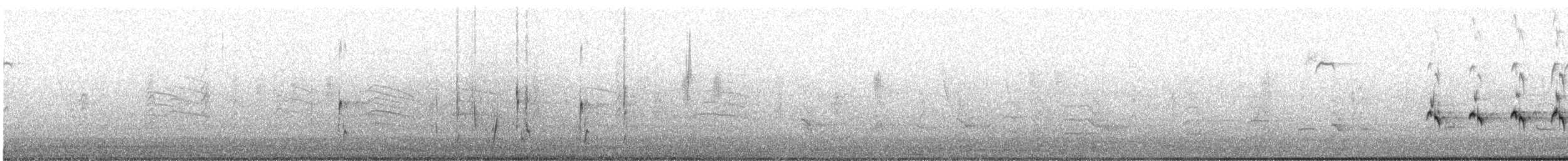 カノコスズメ - ML633105681