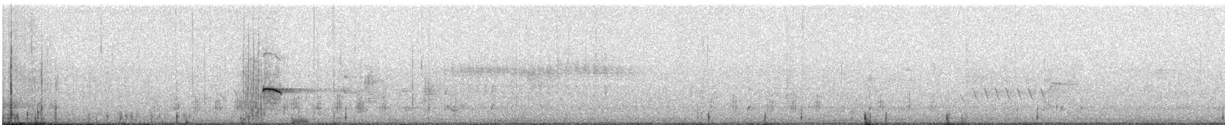 Pacific Black Duck - ML633105863