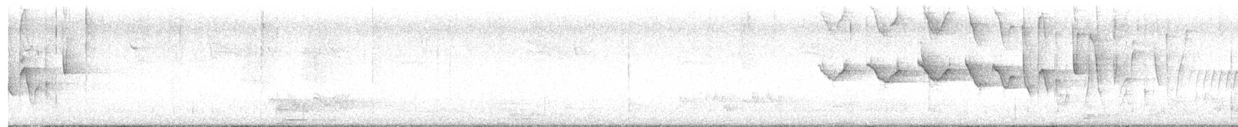 Louisiana Waterthrush - ML633106686