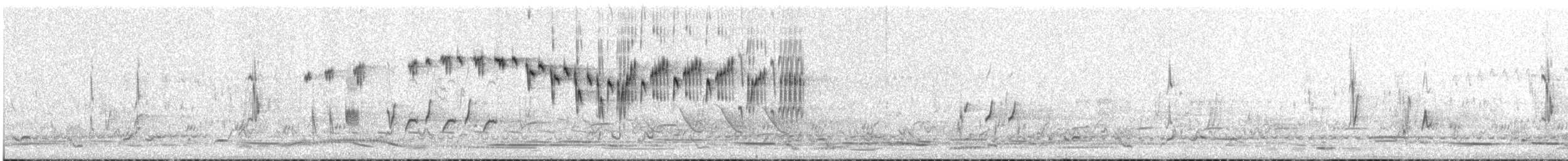 Splendid Fairywren - ML633108143