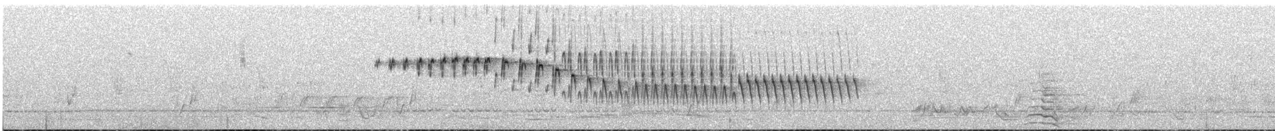 Splendid Fairywren - ML633108161