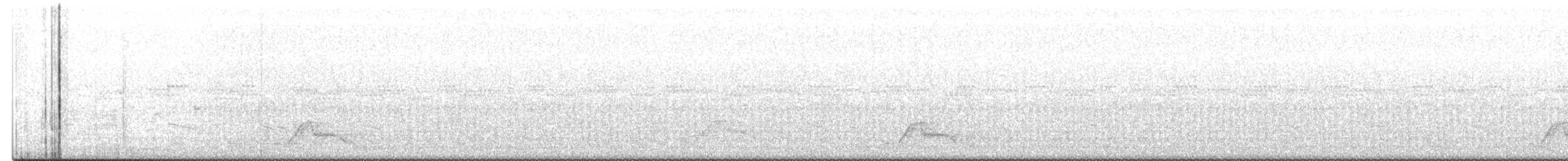 Common Pauraque - ML633110914