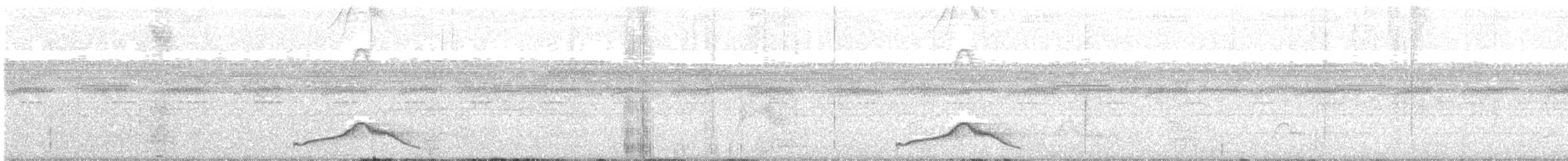 Common Pauraque - ML633111047