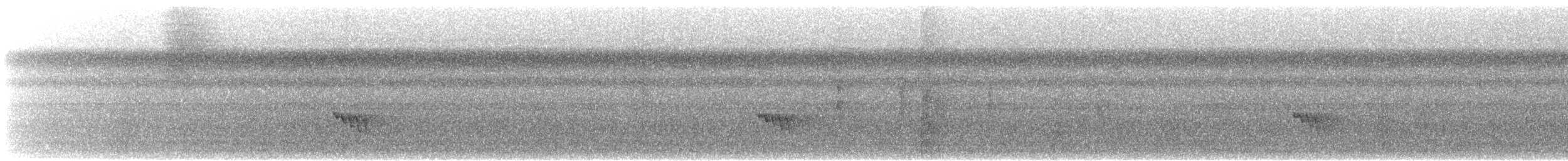 Boat-billed Flycatcher (Northern) - ML633111297