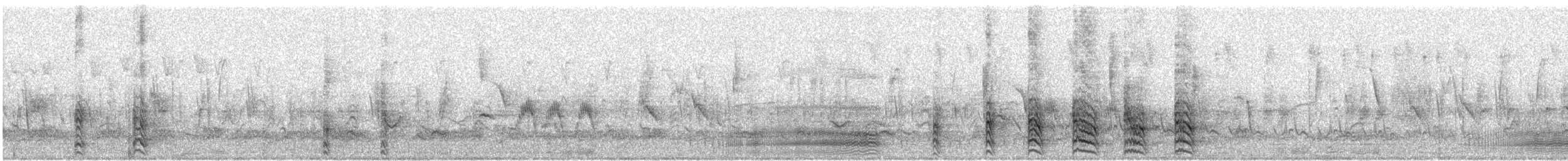 Gray Go-away-bird - ML633122864