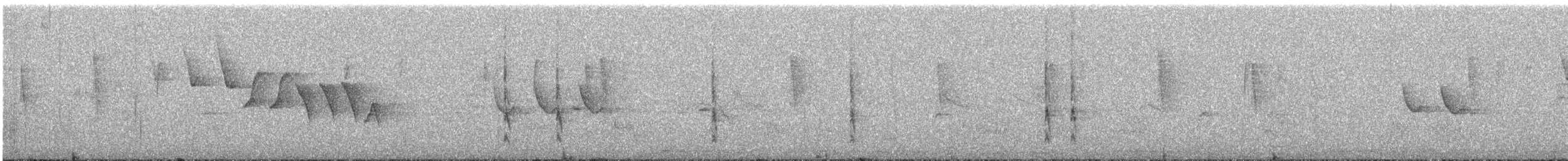 フユミソサザイ - ML633124923