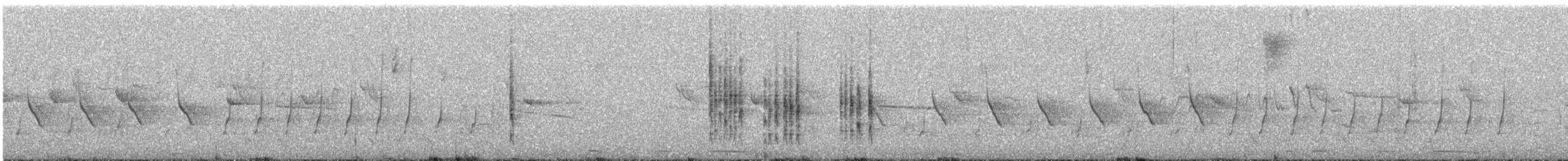 フユミソサザイ - ML633124925