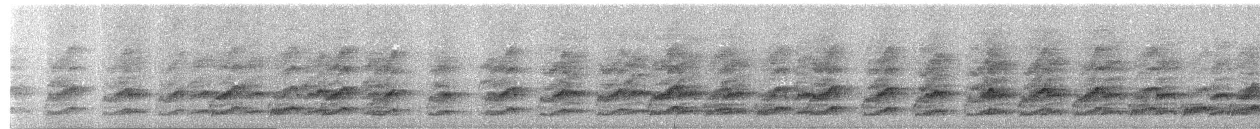 Grammatoptile strié - ML633126800